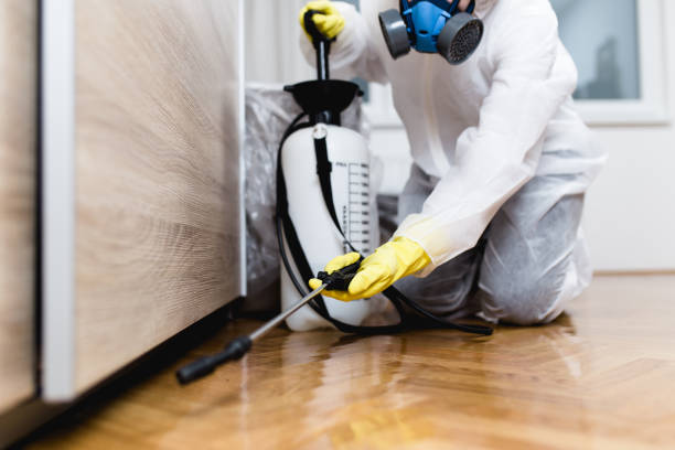 Best Wildlife Control Services  in Stro Valley, CA