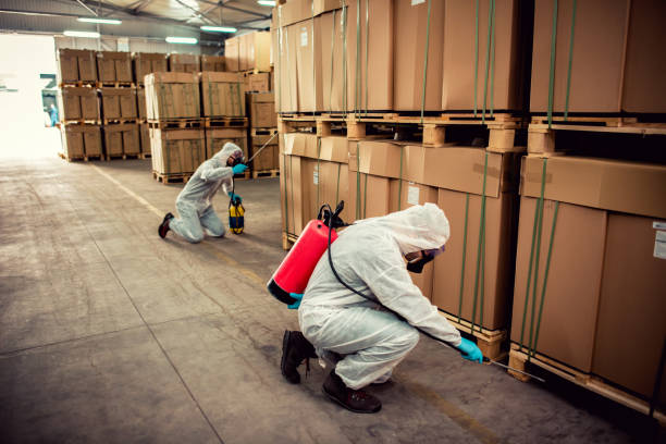 Best Bed Bug Extermination  in Stro Valley, CA