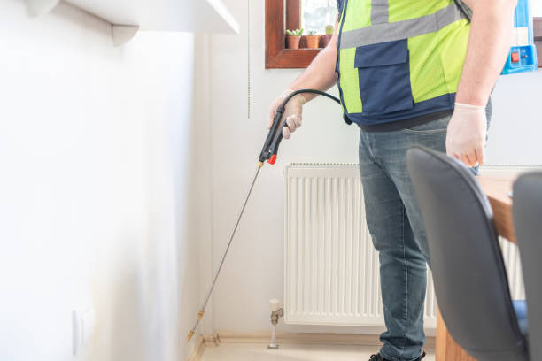 Best Flea Control Services  in Stro Valley, CA