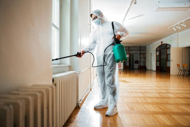 Best Commercial Pest Control Services  in Stro Valley, CA